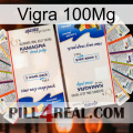 Vigra 100Mg kamagra1